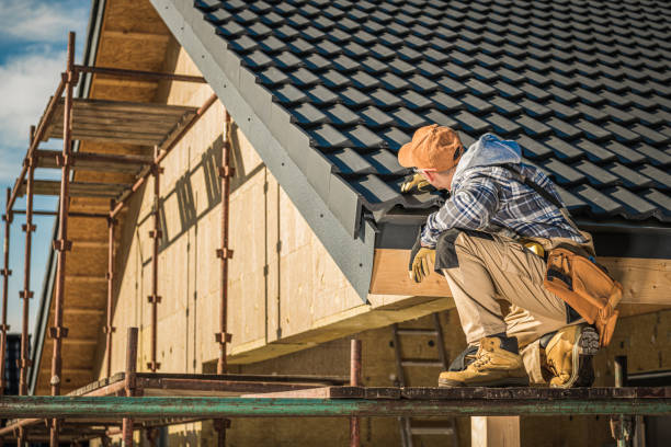 Best Metal Roofing Installation  in Bloomfield, MO