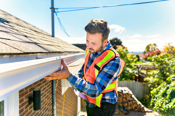 Best Metal Roofing Installation  in Bloomfield, MO