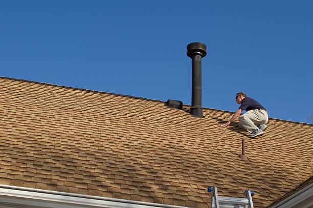 Best Metal Roofing Installation  in Bloomfield, MO